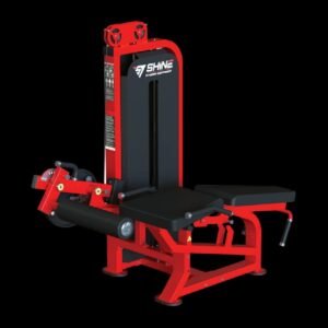 Leg Extension with Leg Curl