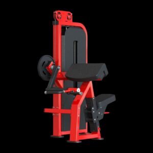 Biceps Curl