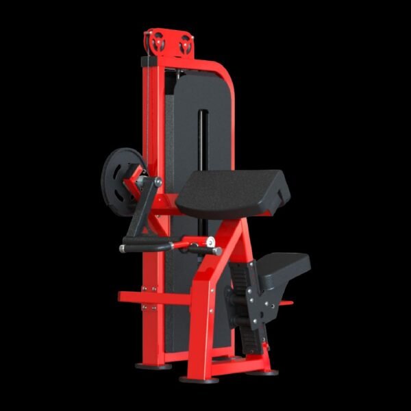 Biceps Curl