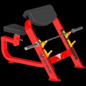 Preachers Curl Bench
