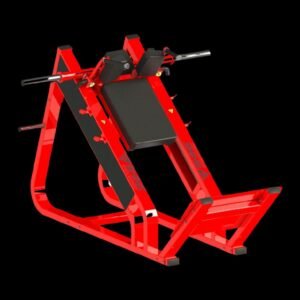 Hack Squat
