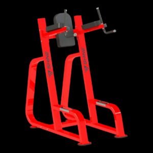 Vertical Dips Stand